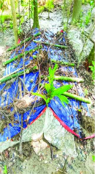 Image of মো: ওমর ফারুক
